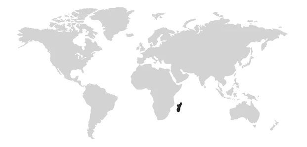 Madagaskar