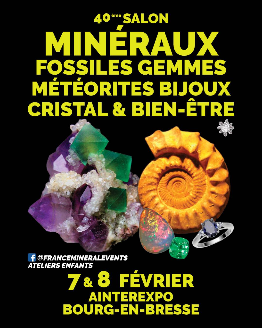 40ème Salon des Minéraux de Bourg-en-Bresse
