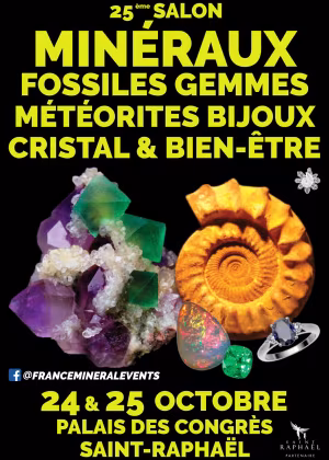 25:e Saint-Raphaël Mineral Show