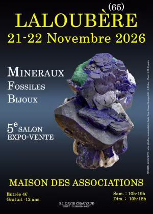 5:e LALOUBERE-MÄSSAN AV MINERALER, FOSSILER OCH SMYCKEN