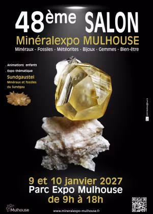 48:e Mineralexpo-Mulhouse 2027-mässan