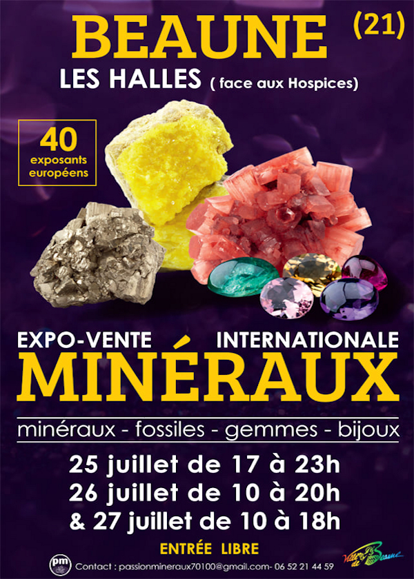 Salon aux minéraux et fossiles