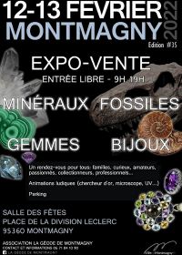 Expo-rea Fossil Minerals Smycken