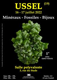 1:a mineralmässan för fossila smycken