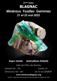 42:a Minerals and Fossils Fellowship