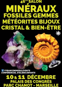 46:e MinéralEvent Fair i Marseille