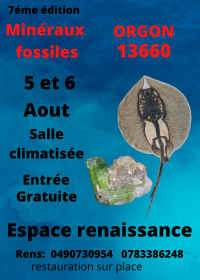 7:e utbytet av fossila mineraler