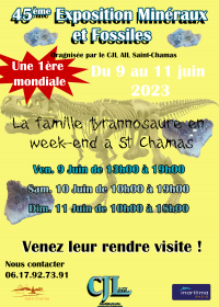 45:e mineral- och fossilmässan