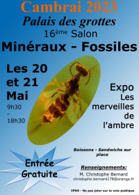 17:e AGC Minerals and Fossils Fair. Fri entré från 9:30 till 18:30.