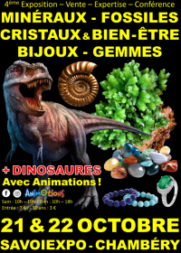 4:e Fossil Minerals Crystals & Well-Being Fair