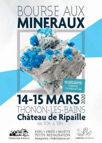 6: e mineraler och fossilbyte