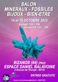 Mineraler, fossiler, designersmycken och välmående mässa.