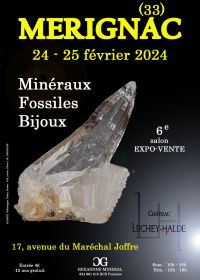 6:e salong mineraler fossiler smycken