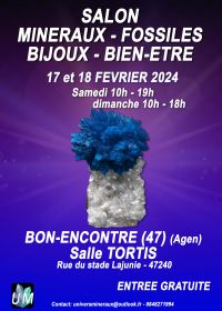 Mineraler, fossiler, designersmycken och välmående mässa.