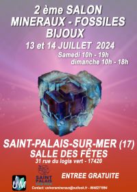 Mineraler, fossiler, designersmycken visar.