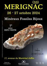 7:e FOSSILMINERALERSMYCKESHOW i MERIGNAC