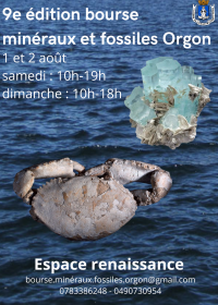 9:e handväska fossila mineraler smycken meteoriter