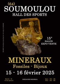 15:e Soumoulou mineral fossil smycken show
