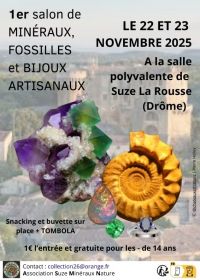 Utbyte av mineral-, fossil- och handgjorda smycken