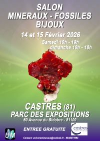 Utställning av mineraler, fossiler och designersmycken.