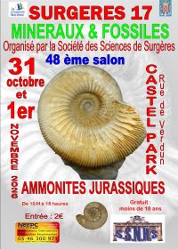 48:e internationella mineral- och fossilutställningen