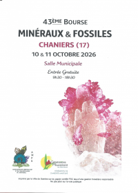 Mineraler och fossiler till salu och utställning
