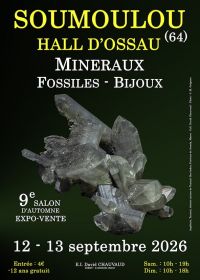 9:e mineral-, fossil- och smyckesutställningen