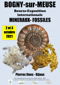 Fossil Minerals International Exhibition Fellowship