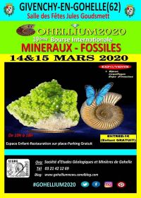 19th Gohellium International Fossil Minerals Fellowship 2020