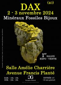 1:a DAX-SMYCKEN FOSSILMINERALERUTSTÄLLNING