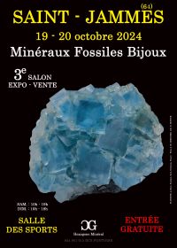 3:e MINERAUYX FOSSILS SMYCKEUTSTÄLLNING i SAINT-JAMMES