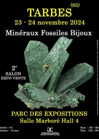 2:a Fossil Minerals and Jewelry Show