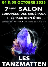 Europeisk mineralmässa - skapelser - smycken - välmående område