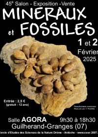 45:e Guilherand-Granges Minerals and Fossils Exchange