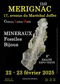 8:e Mérignac minerals fossila smyckeshow