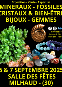 Mineraler, fossiler, kristaller och välbefinnande smyckes- och ädelstensmässa i Nîmes