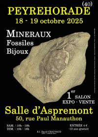 1:a MINERALER OCH FOSSILS SMYCKESUTSTÄLLNINGEN
