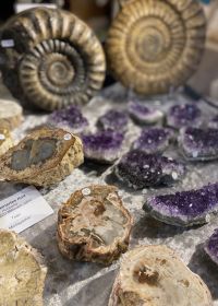 Vackra stenar och mineraler 2025
