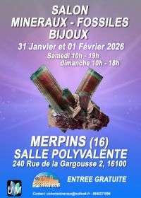 Utställning av mineraler, fossiler och designersmycken.