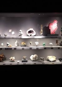 Geologi- och mineralogigalleriet på Jardin des Plantes i Paris Museum national histoire naturelle Geologi- och mineralogigalleriet på Jardin des Plantes i Paris Museum national histoire naturelle
