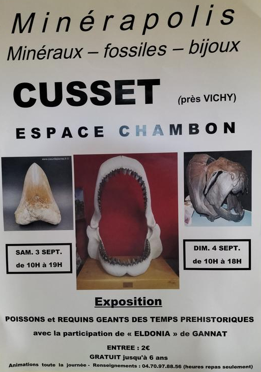 MINERAPOLIS utställning av fossiler, mineraler och smycken