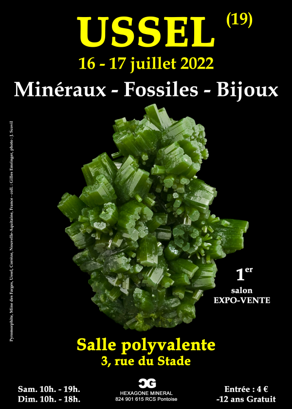 1:a mineralmässan för fossila smycken