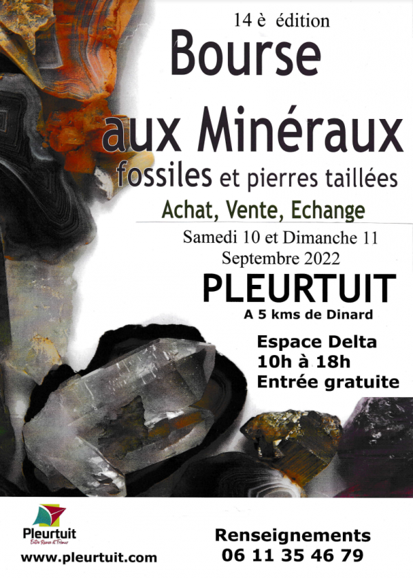 14:e Minerals and Fossils Fellowship