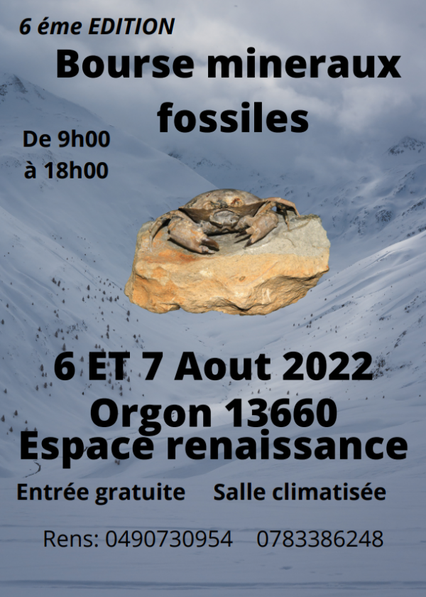 6:e stipendiet för fossila mineraler 6:e stipendiet för fossila mineraler