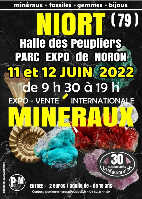 Expo-försäljning av mineraler, fossiler, ädelstenar, smycken