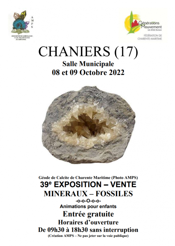Mineral- och fossilutställningsstipendium