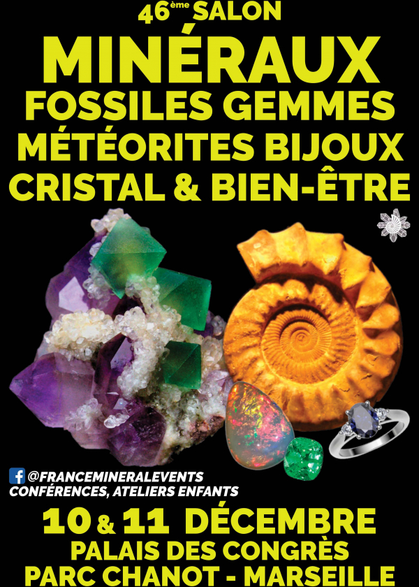 46:e MinéralEvent Fair i Marseille
