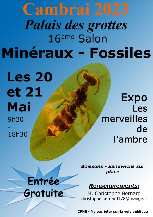 17:e AGC Minerals and Fossils Fair. Fri entré från 9:30 till 18:30.