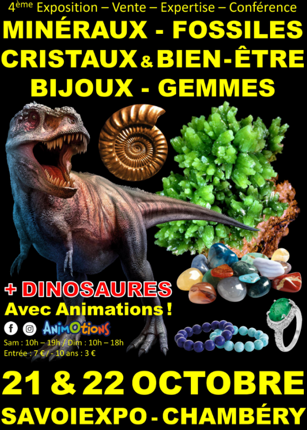 4:e Fossil Minerals Crystals & Well-Being Fair