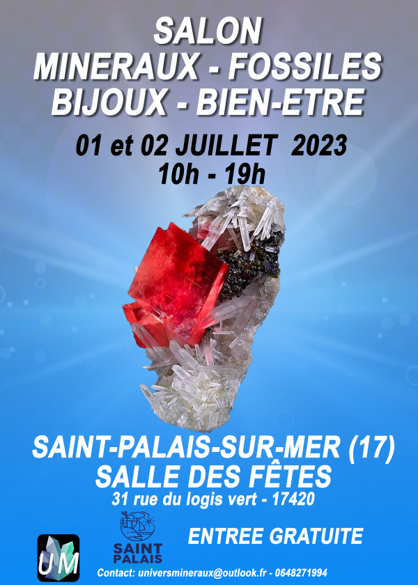 Mineraler, fossiler, designersmycken och välmående mässa.